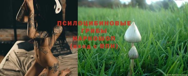 бутират Арсеньев